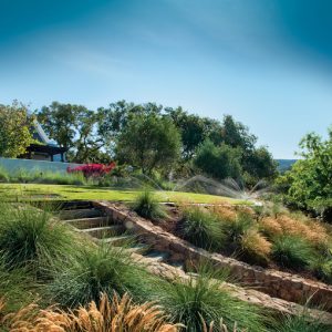 House Pathway with MP Rotators